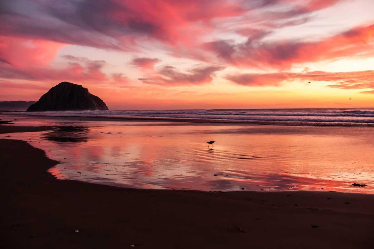 ECN (Engineering Change Notification)